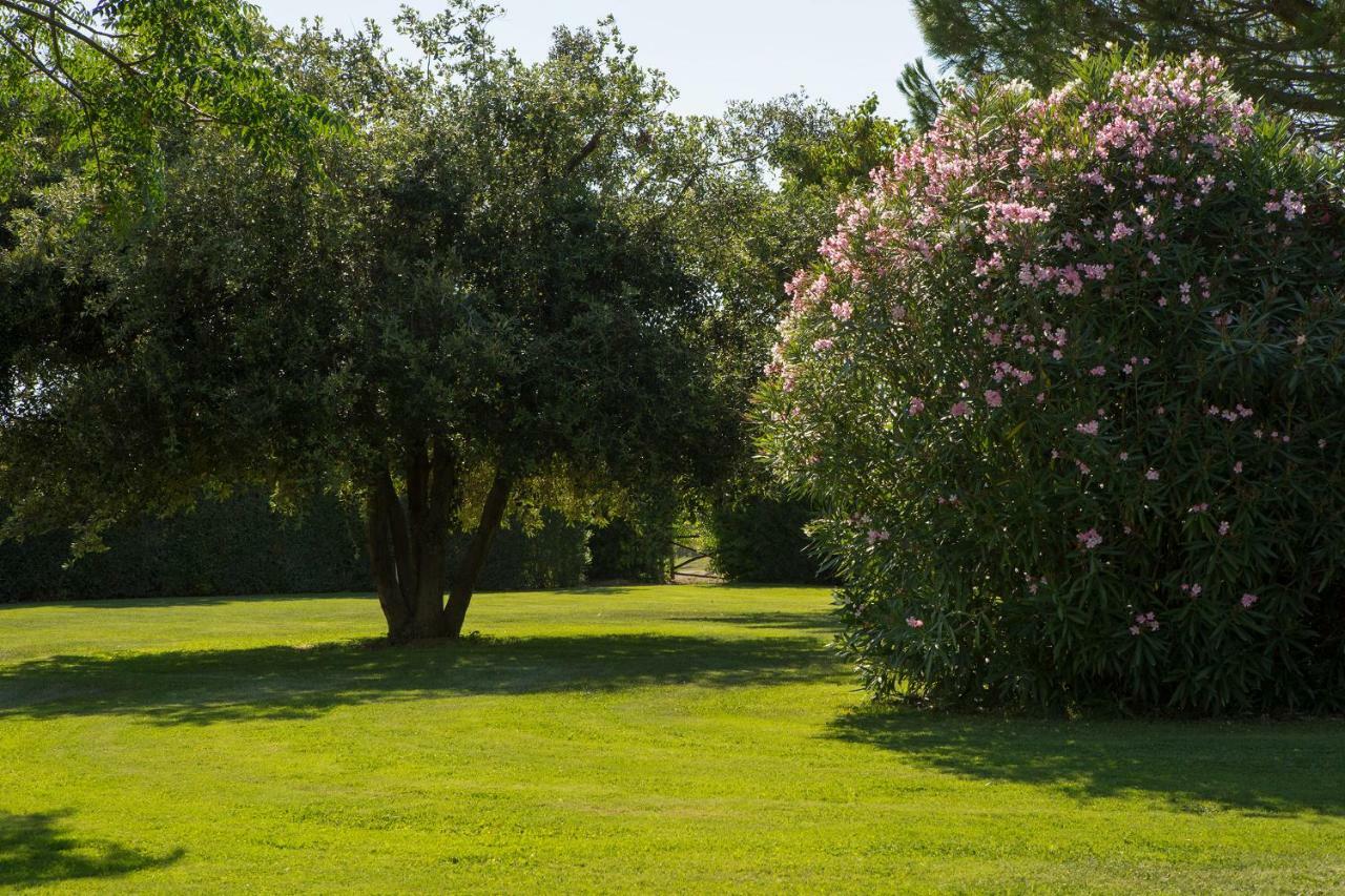 Villa Aia Vecchia Bibbona Zewnętrze zdjęcie